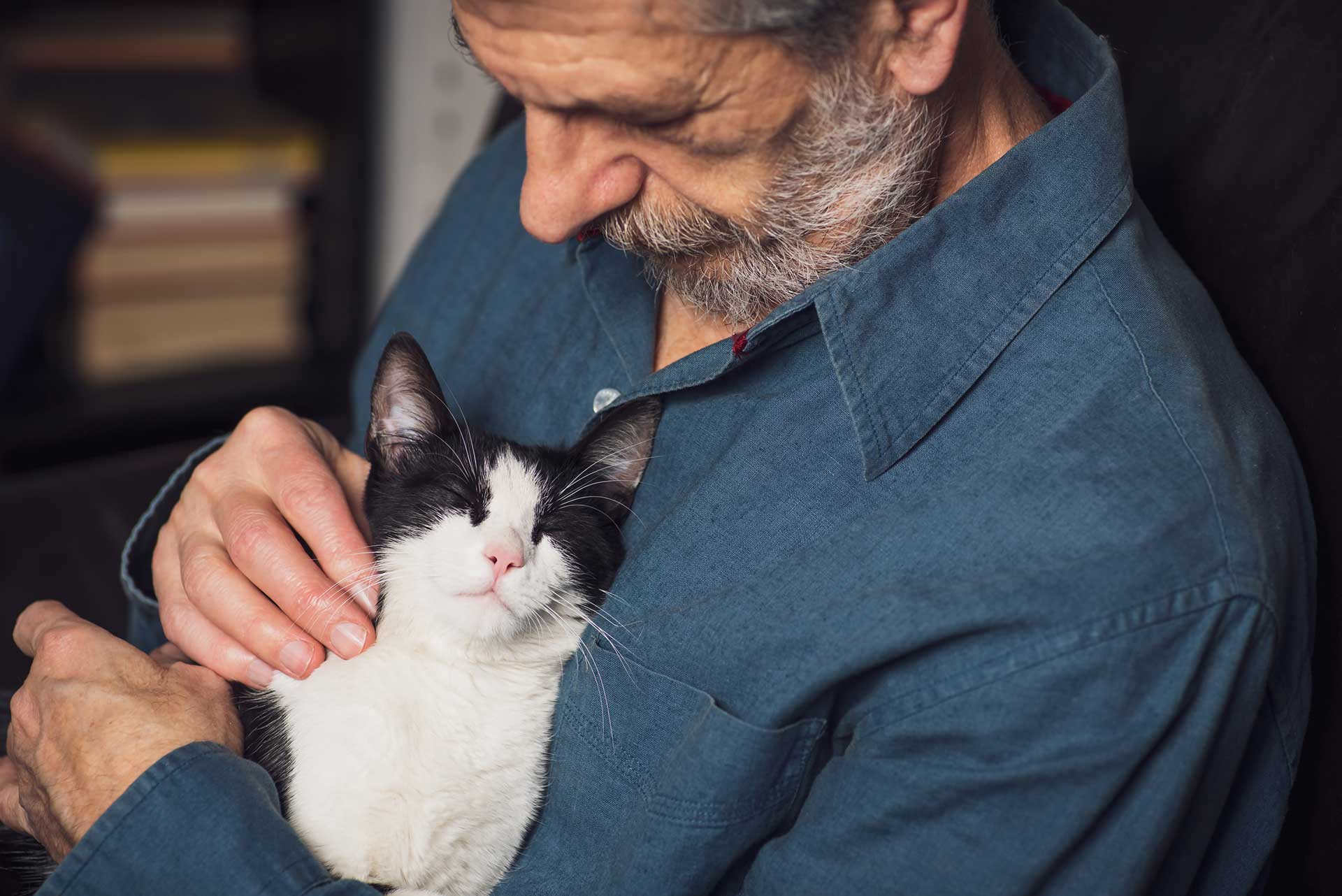 mimi-marriott-pet-farwells-cat